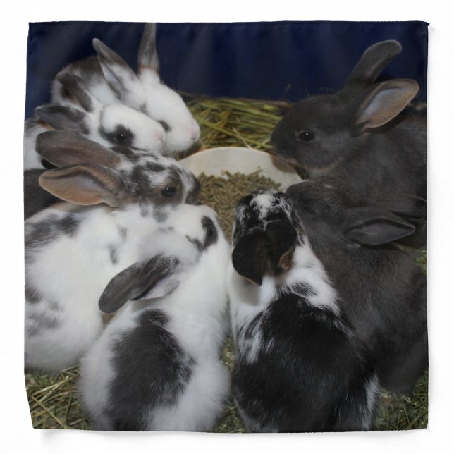 Baby Bunnies Bandana (Front)