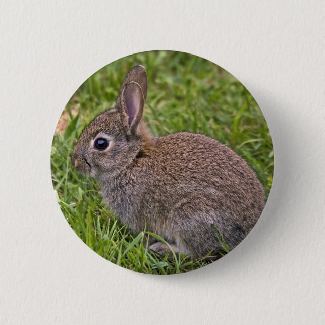 Baby Bunny Badge Button (Front)