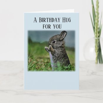 Baby Bunny Birthday Hug Card by randysgrandma at Zazzle