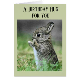Baby Bunny Birthday Hug Cards