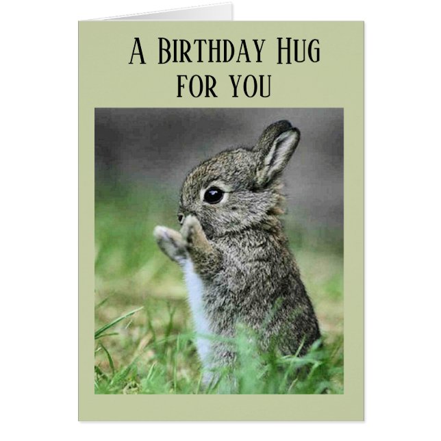 Baby Bunny Birthday Hug Cards (Front)