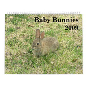 Baby Bunny Calendar 2009
