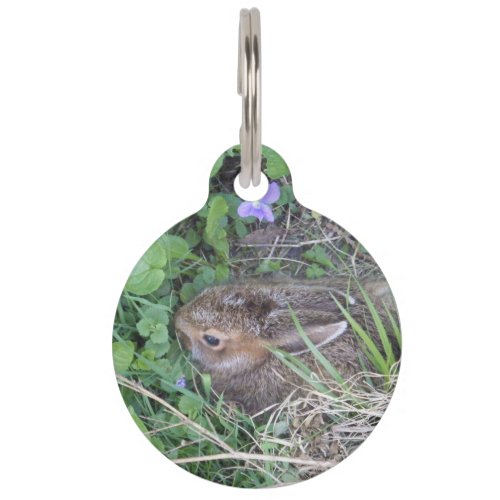 Baby Bunny in Nest Pet Name Tag