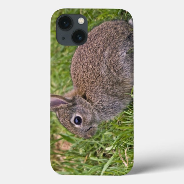 Baby Bunny iPad Case (Back)
