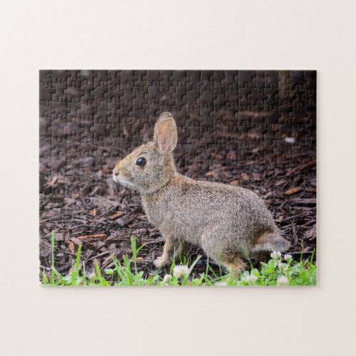 Baby Bunny Jigsaw Puzzle