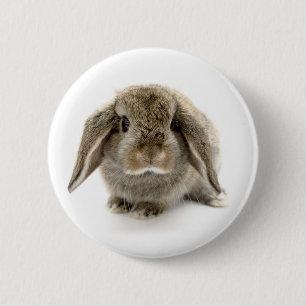 Baby Bunny Pinback Button