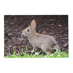 Baby Bunny Rabbit Laminated Placemat