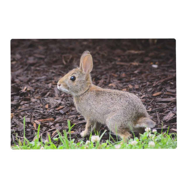 Baby Bunny Rabbit Laminated Placemat (Front)