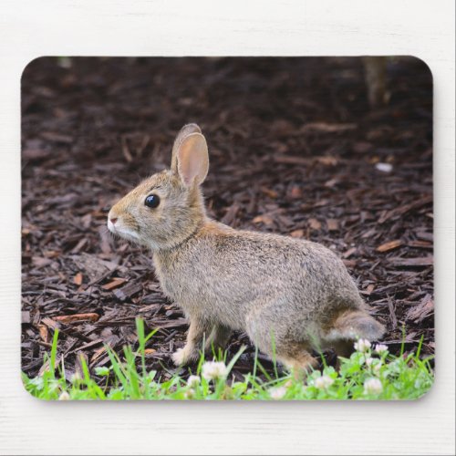 Baby Bunny Rabbit Mouse Pad