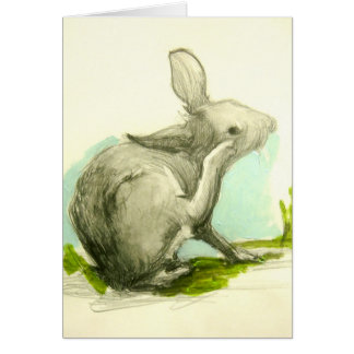 Baby Bunny Scratching His Ear Cards