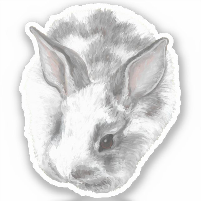 Baby Bunny Vinyl Sticker (Front)