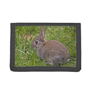 Baby Bunny Wallet