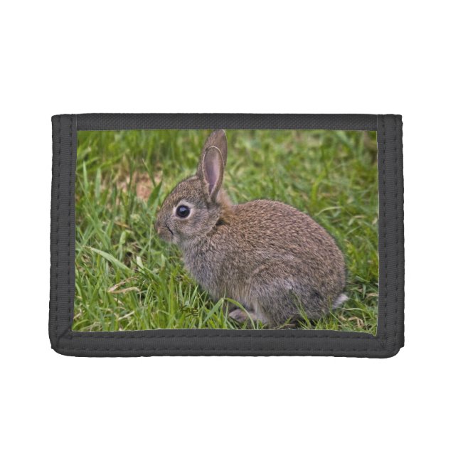 Baby Bunny Wallet (Front)