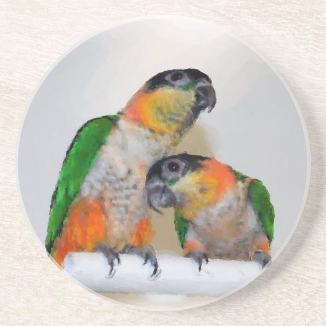 Baby Caique Parrots Animal  Sandstone Coaster (Front)