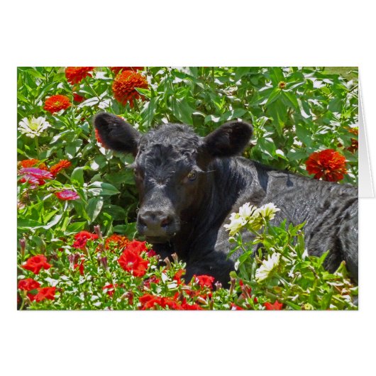 Baby Calf in the flowers (Front Horizontal)