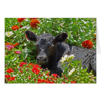 Baby Calf in the flowers Cards