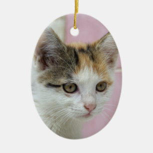 Baby Calico Ceramic Ornament