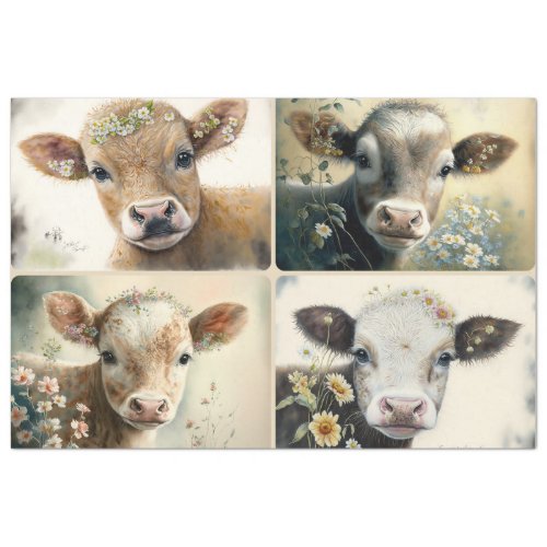 Baby Calves Tissue Paper