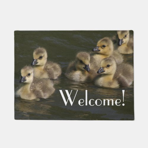 Baby Canada Geese Gosling Wildlife Welcome Doormat