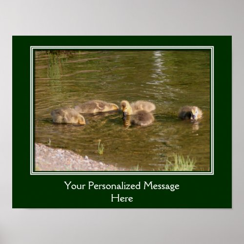 Baby Canada Goose Goslings Create Your Own Poster