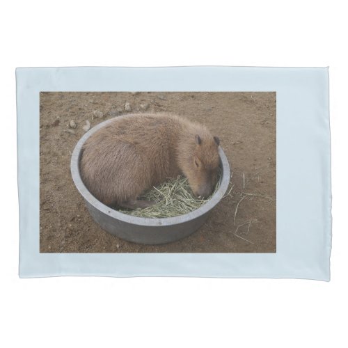 Baby Capybara Pillow Case