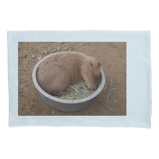Baby Capybara Pillow Case (Front)