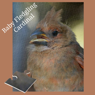 Baby Cardinal Bird Close-up Photographic Jigsaw Puzzle