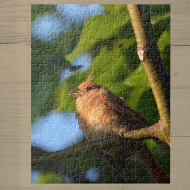 Baby Cardinal Fledgling Photographic Jigsaw Puzzle (Creator Uploaded)