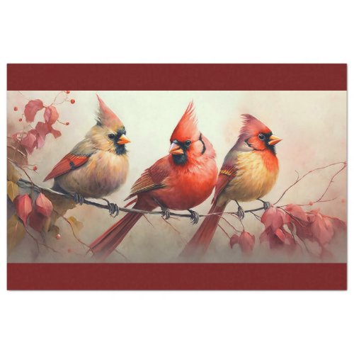 Baby Cardinals Tissue Paper