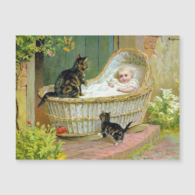 Baby, cat and kitten postcard (Front)