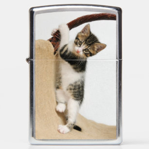 Baby Cat Cute Kitten Funny Gym Climbing windproof Zippo Lighter