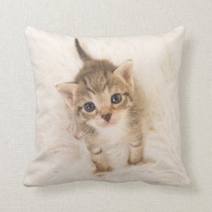 Baby cat Pillow