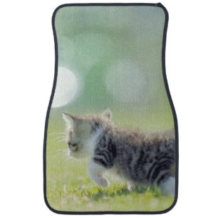 Baby cat running on grass field. car mat
