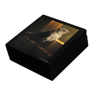 Baby Catbird Jewelry Box