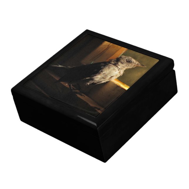 Baby Catbird Jewelry Box (Side)