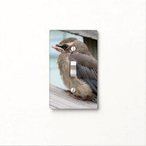 Baby Cedar Waxwing Fledgling Bird Animal Light Switch Cover