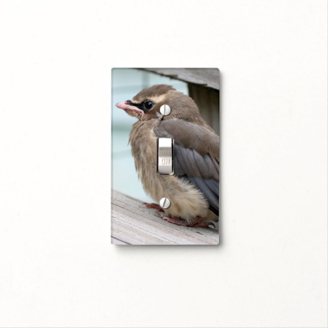 Baby Cedar Waxwing Fledgling Bird Animal Light Switch Cover (In Situ)