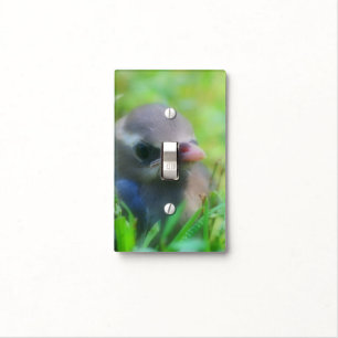Baby Cedar Waxwing Fledgling Bird Animal Light Switch Cover