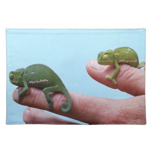 Baby chameleon perspective placemat