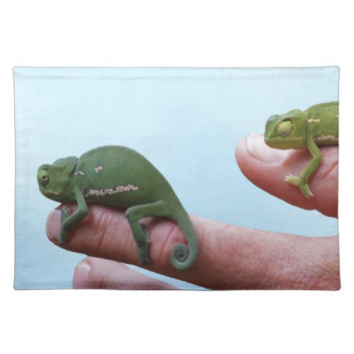 Baby chameleons perspective placemat