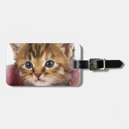 baby chedder bag tag