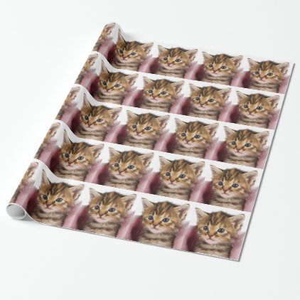 baby chedder wrapping paper