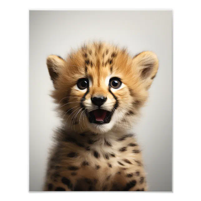 Baby Cheetah Art Print Safari Nursery Art Zazzle