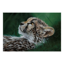 Baby Cheetah Fine Art Print 71x47cm