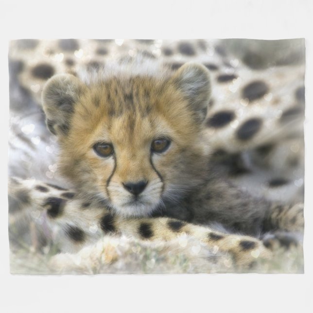 Baby Cheetah Fleece Blanket (Front (Horizontal))