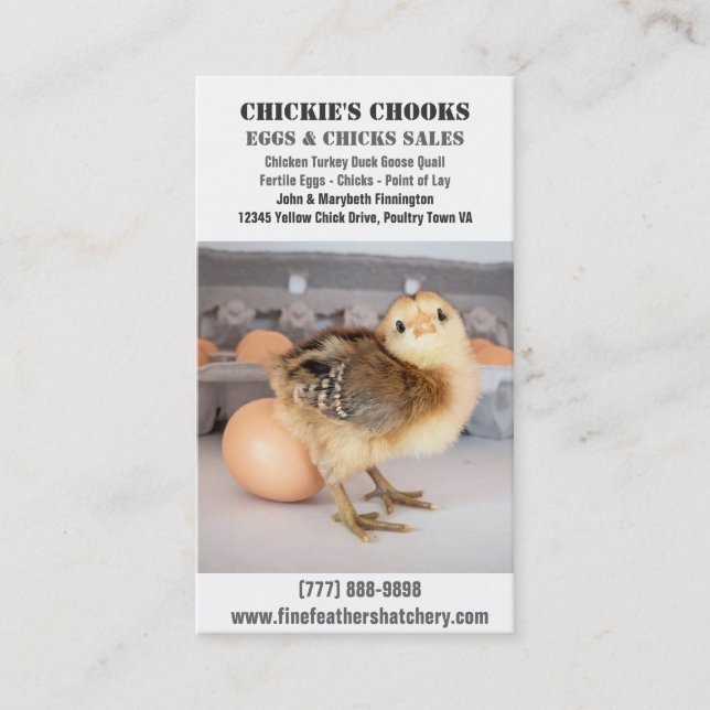Baby Chick and Fresh Egg Business Card (Front)