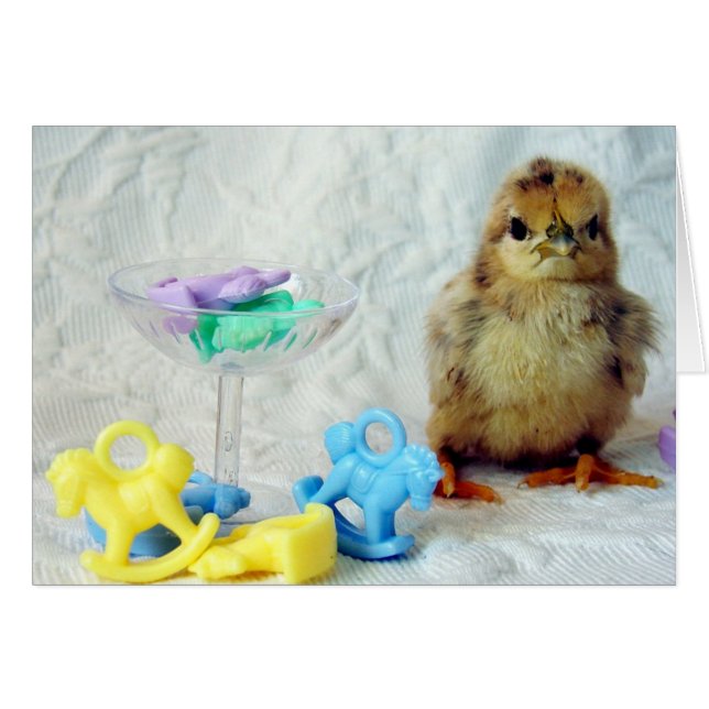 Baby Chick Cards (Front Horizontal)
