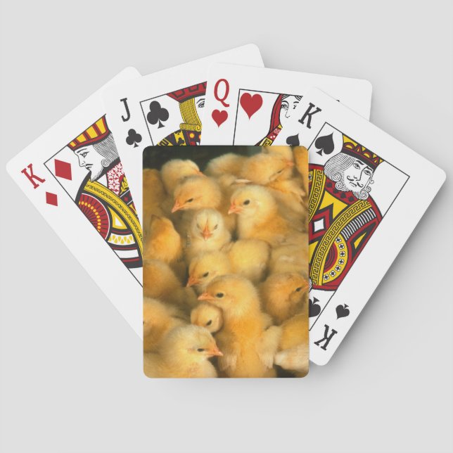 Baby Chick Chicks Chicken Poker Cards (Back)