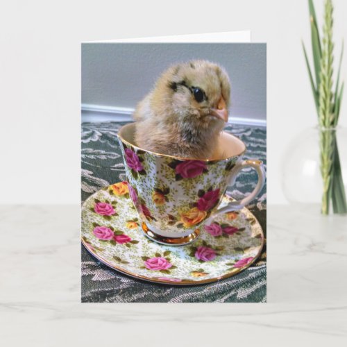 Baby Chick in a Tea Cup Greeting Card