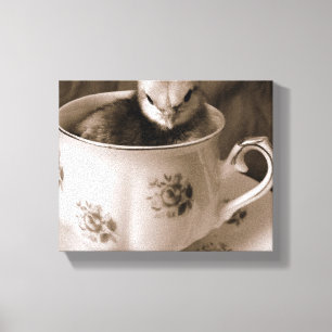 Baby Chick in a Teacup  Canvas Print